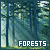 forests