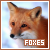 foxes