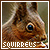 squirrels