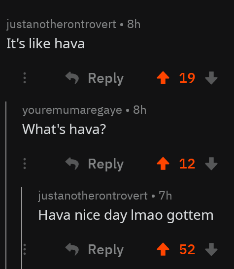 'it's like hava' 'what's hava?' 'hava nice day lmao got 'em'