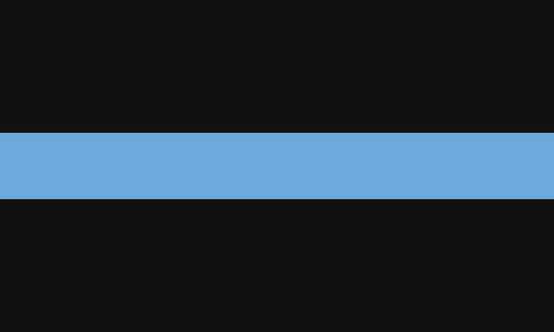 a black flag with a blue line going horizontally across the middle. (this is not a pro-cop flag!)
