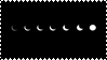 phases of the moon