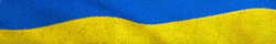 ukraine supporter